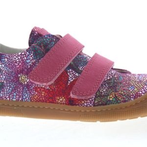 Koel Danny Fantasy Fuchsia Flowers