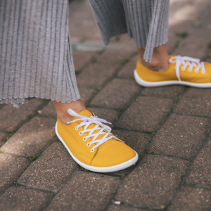 Be Lenka Prime Mustard