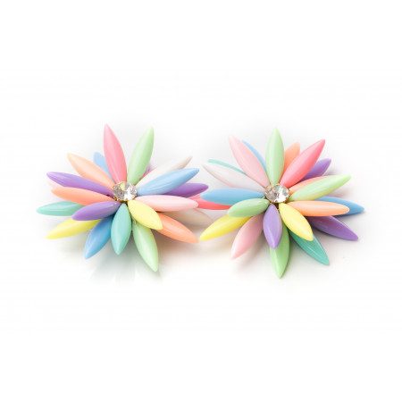 Shapen decorative clips Multicolor Flower