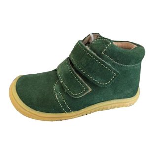 Filii Chameleon Forest