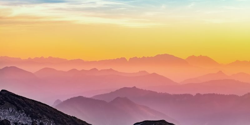 Top Barefoot Shoe Brands: The Best for Comfort and Performance