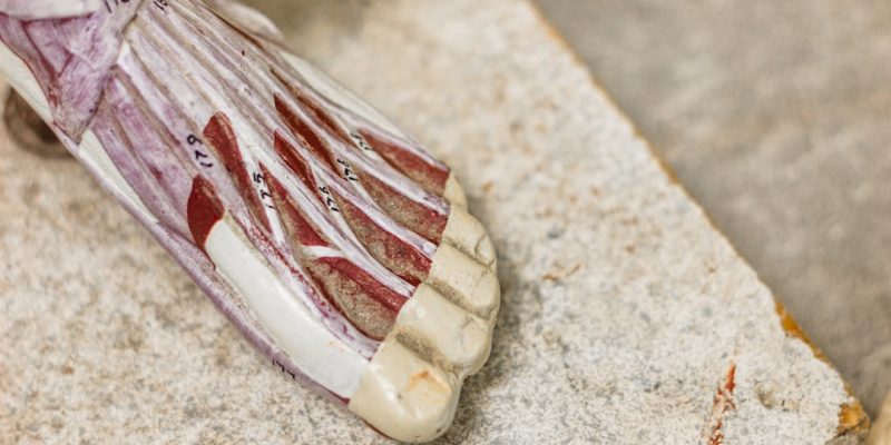 Embracing Barefoot Shoes: Making the Transition